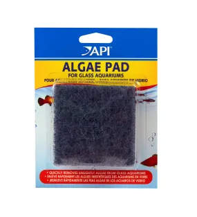 API - Hand Held Algae Pad for Glass