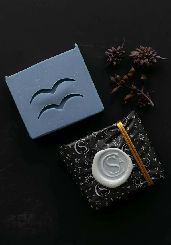 Aquarius | ZODIAC SOAP