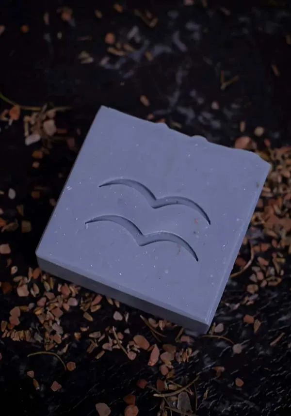 Aquarius | ZODIAC SOAP