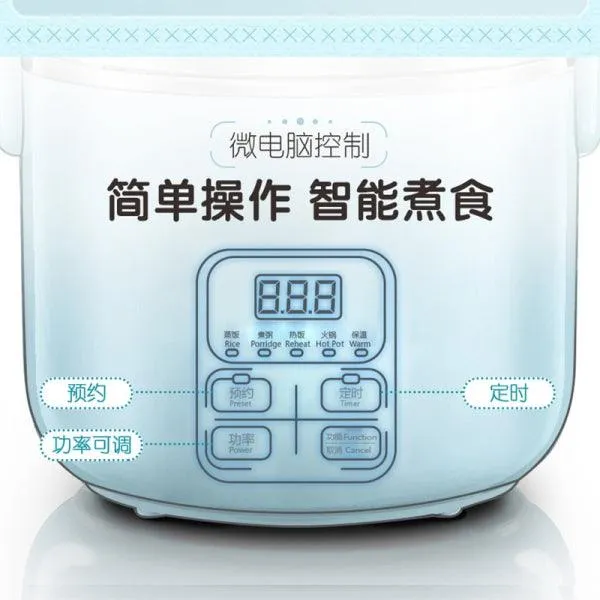 Bear Lunch Box DFH-B20J1,Mini Rice Cooker Electric Hot Pot Plug-in Electric Steaming Heating 2L