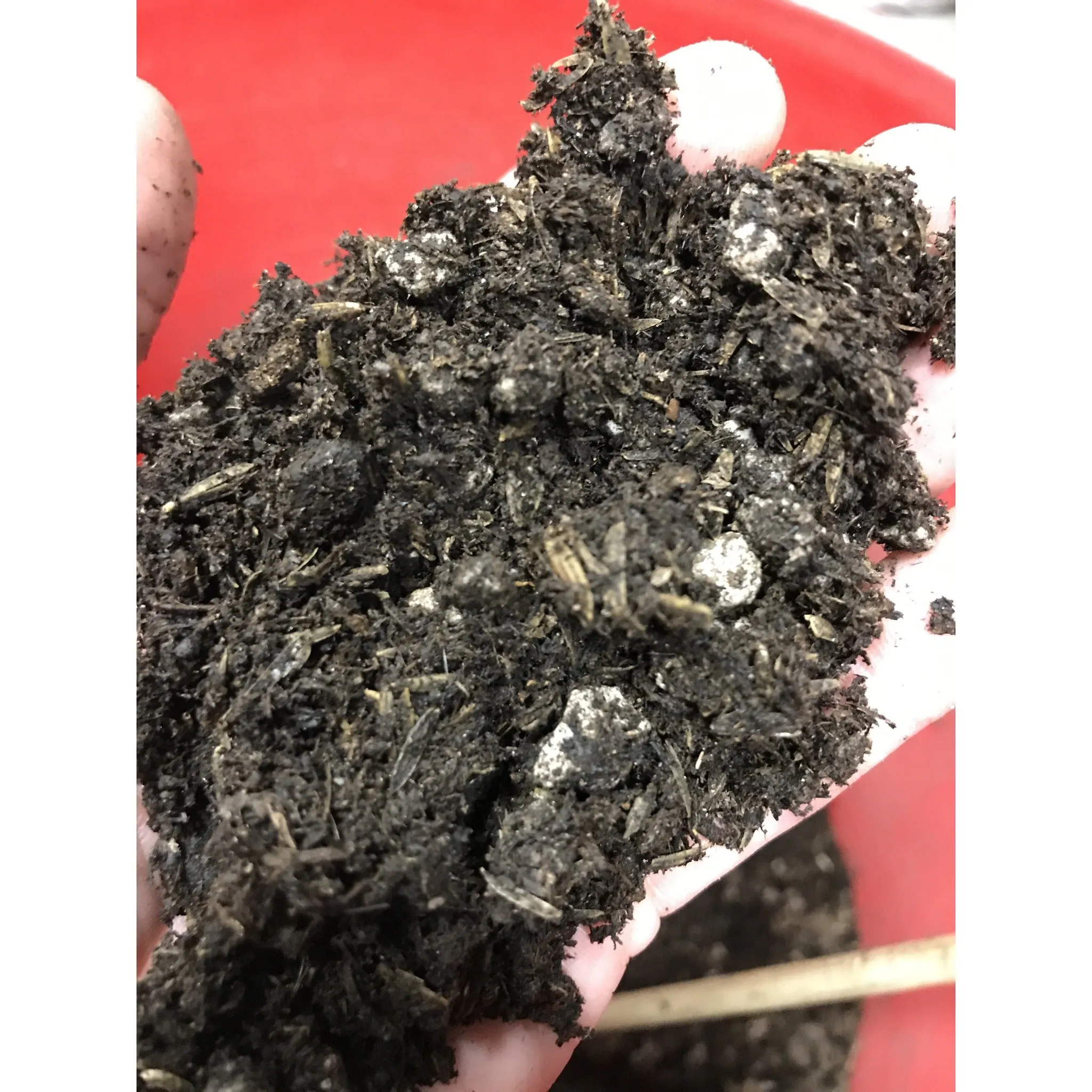 BuildASoil Light Recipe Soil