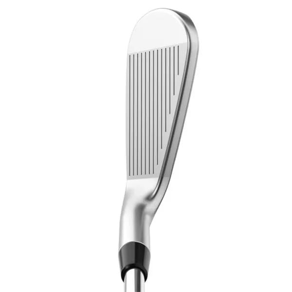 Callaway Apex Pro 24 Steel Irons Gents