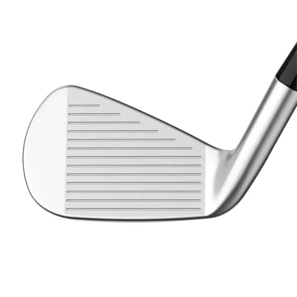 Callaway Apex Pro 24 Steel Irons Gents