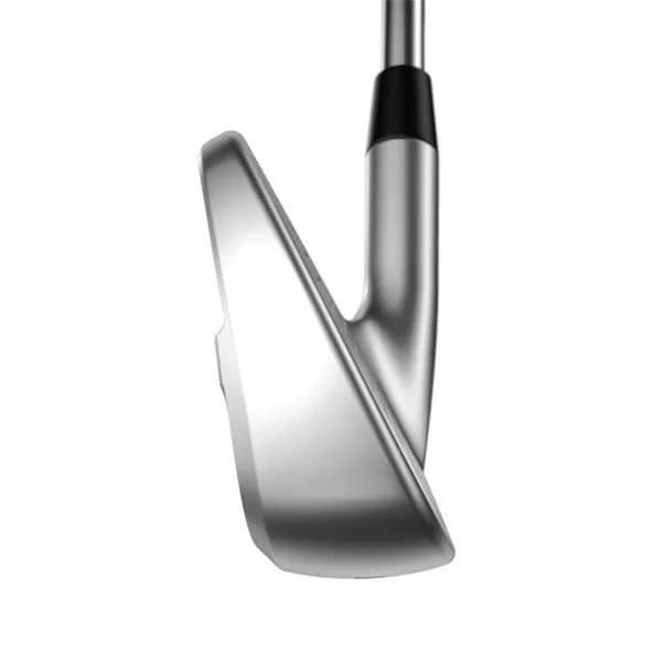 Callaway Apex Pro 24 Steel Irons Gents