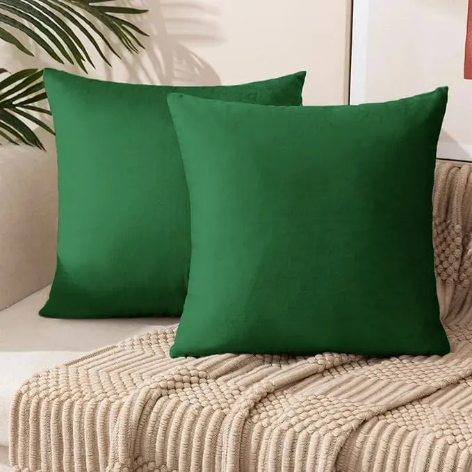 Hundur Store Pack of 2, Velvet Soft Throw Pillow Cushion with Wshable Cover Pillow Case, Home Decor Decorations for Sofa Couch Bed Chair (22 x 22 Inch, Dark Green)