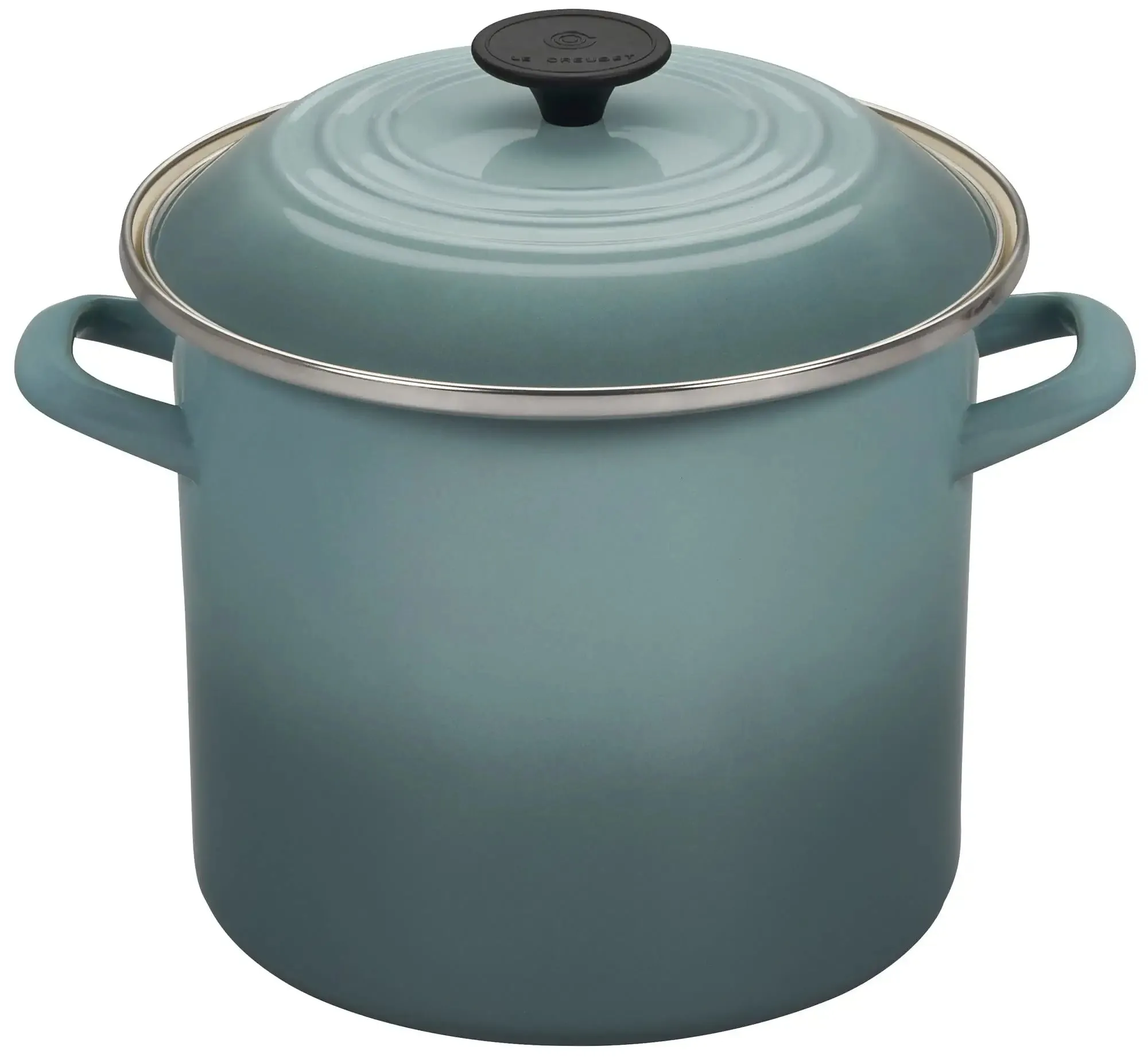 Le Creuset 8 Qt. Enamel on Steel Stockpot