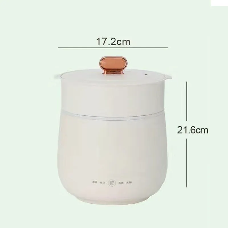 Mini Electric Hot Pot Cooker with Steamer