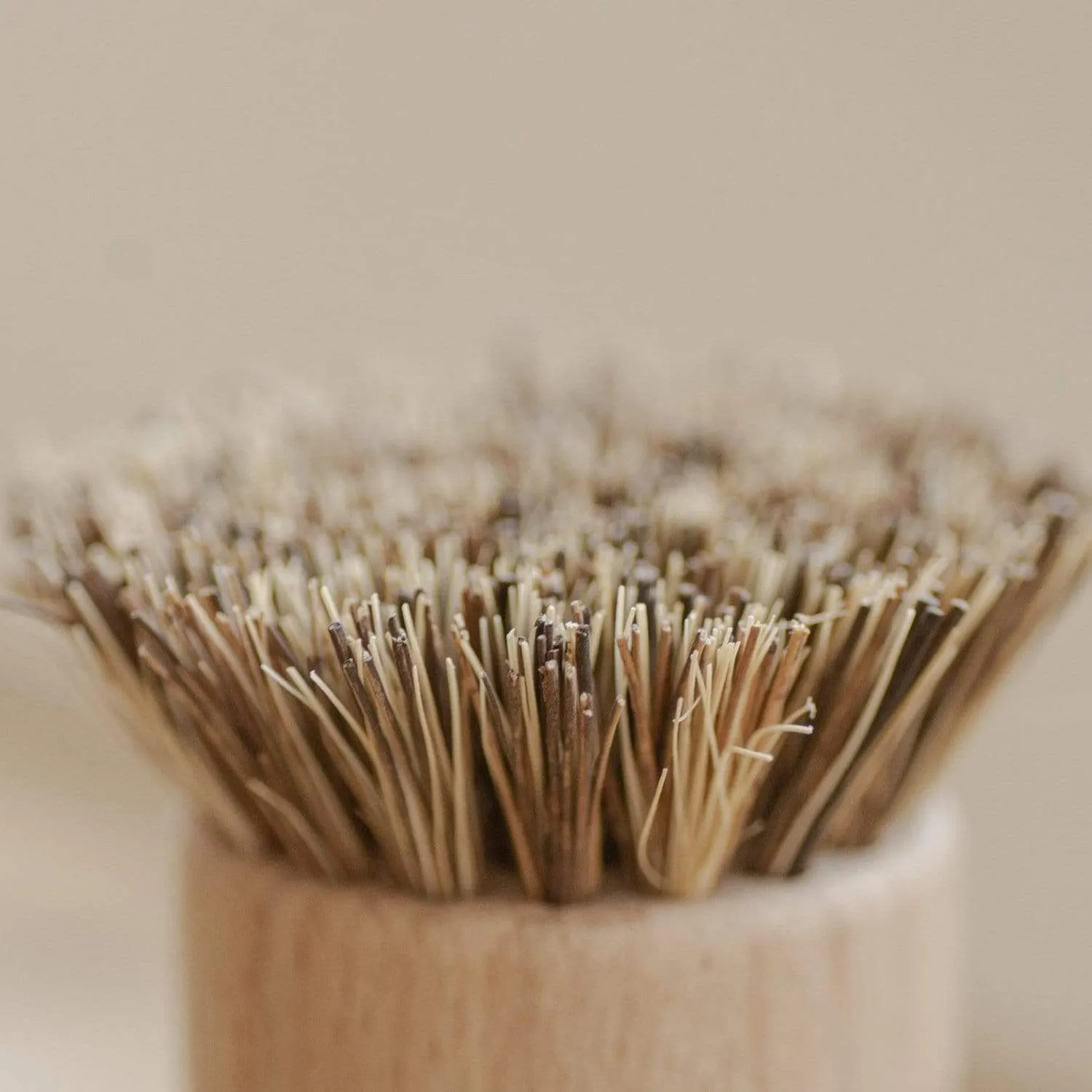 Pot Scrubber - Eco Friendly Scrub Brush, Bamboo, Plastic Free, Compostable