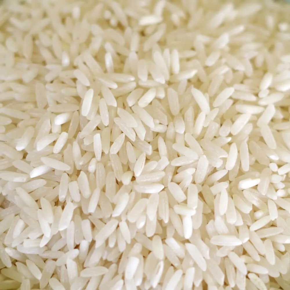 Rainy Day Foods Basmati White Rice 5 Gallon 36 lb. Super Pail - 362 Servings