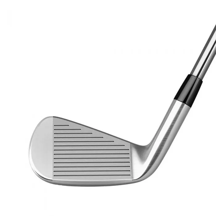 TaylorMade P760 Custom Iron Sets - Steel